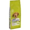 Purina Dog Chow Chien Adulte Agneau 14 Kg