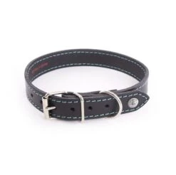 Martin Sellier Collier Cuir Flash Turquoise T40