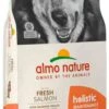 Almo Nature Chien Holistic Adult Large Saumon 12 Kg