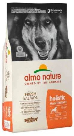 Almo Nature Chien Holistic Adult Large Saumon 12 Kg