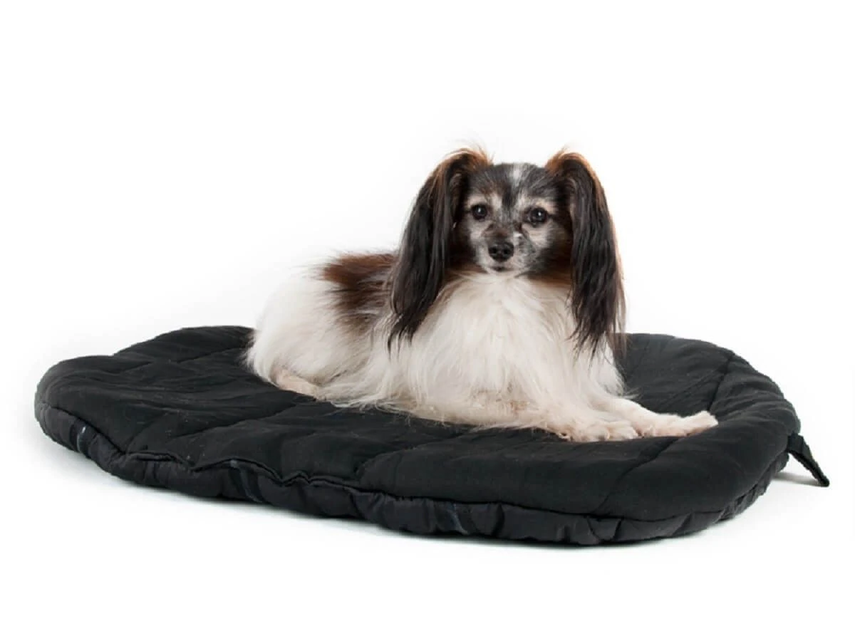 Back On Track Matelas De Voyage Pour Chien 55 X 60 Cm