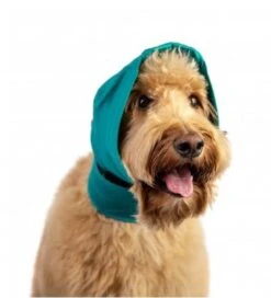 Bandage Oreille No Flap Pour Chien L