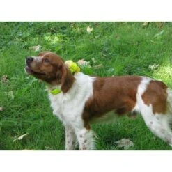 Num'Axes Canibeep Pro Jaune