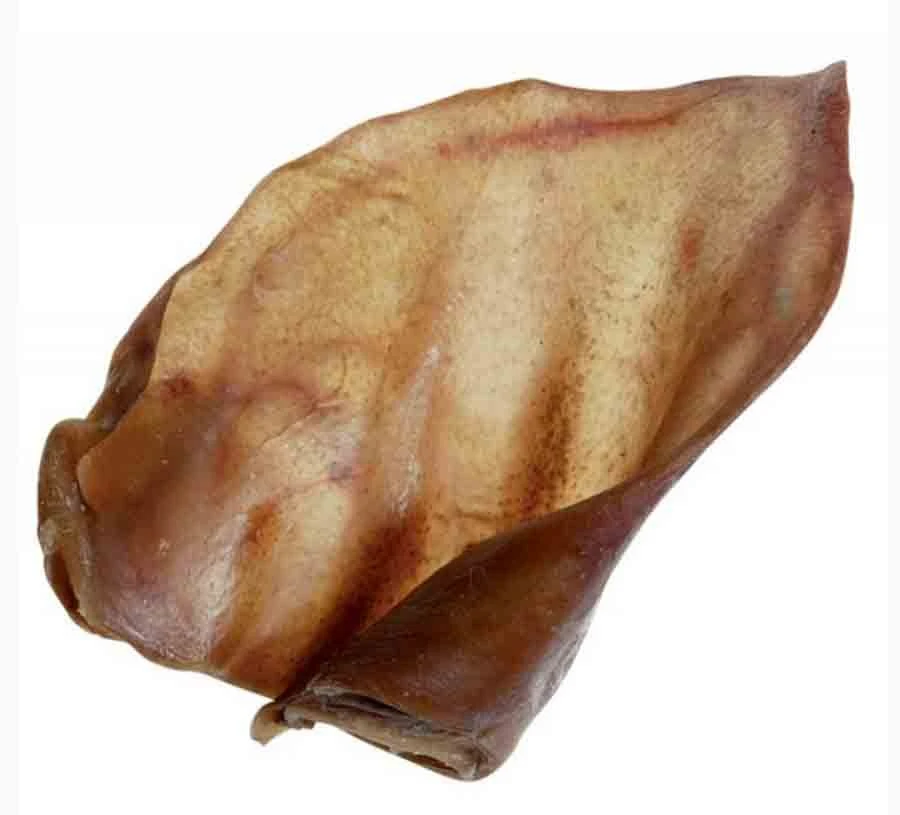 Zolux Oreille De Porc Séchée X 100 – Image 3