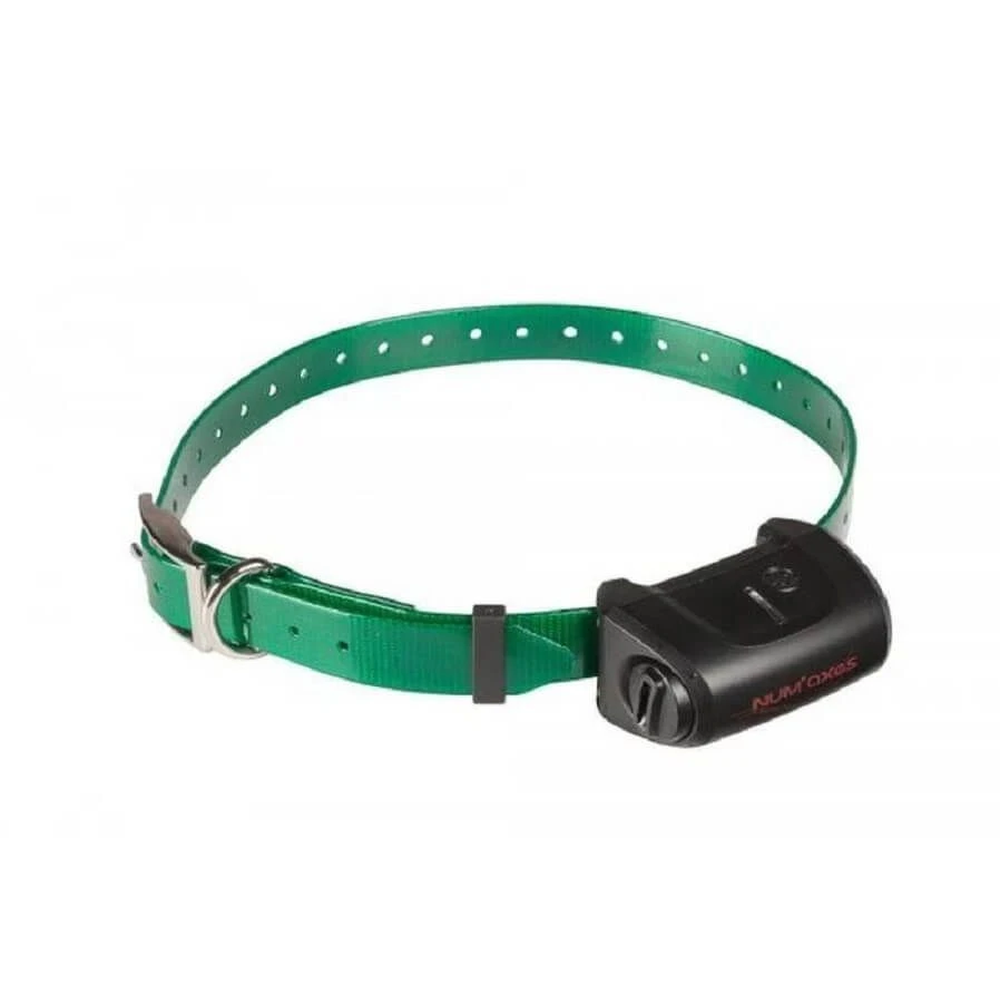 Collier Seul Canicom 5 Avec Sangle Vert Foncé