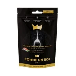 Comme Un Roi Friandises Chien Mobilité 100 G