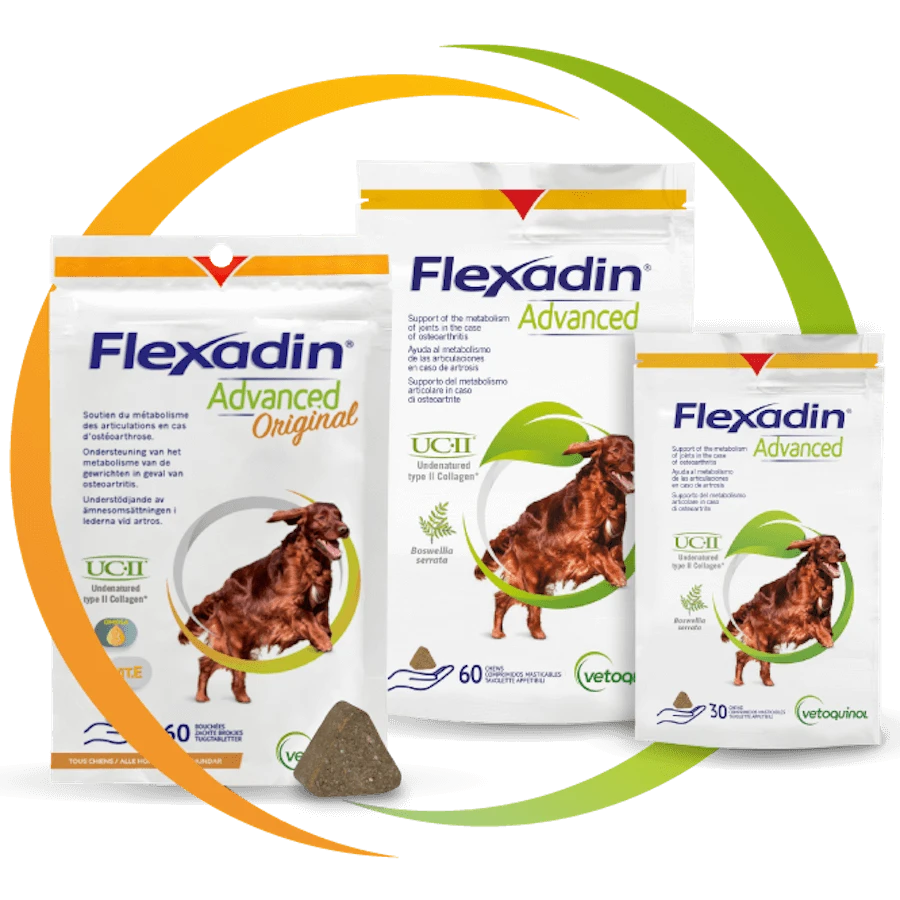 Flexadin Advanced Original Chew 60 Bouchées – Image 3