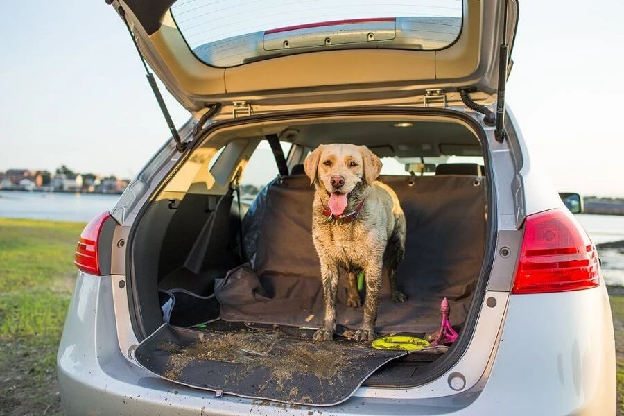 Kurgo Protection De Coffre Cargo Cape Gris – Image 3