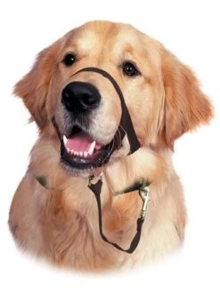 Licol De Dressage Halti Noir T.3