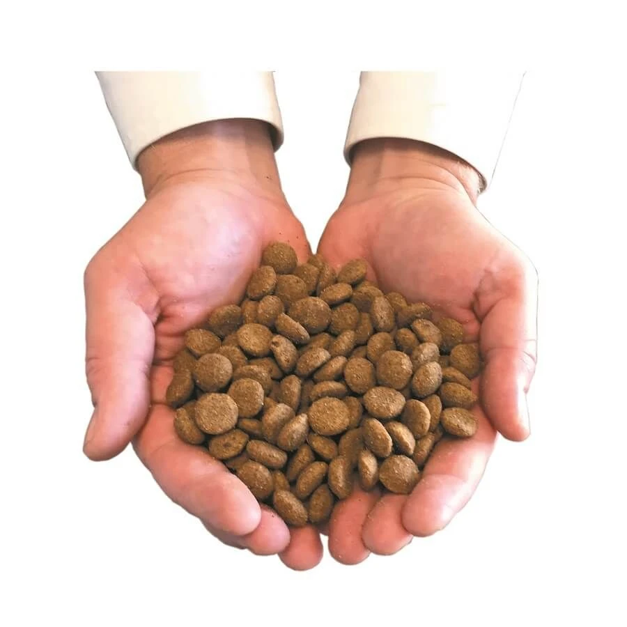 Canichef Terrine Bio Volaille Sans Céréales Pour Chien 9 X 300 G – Image 3