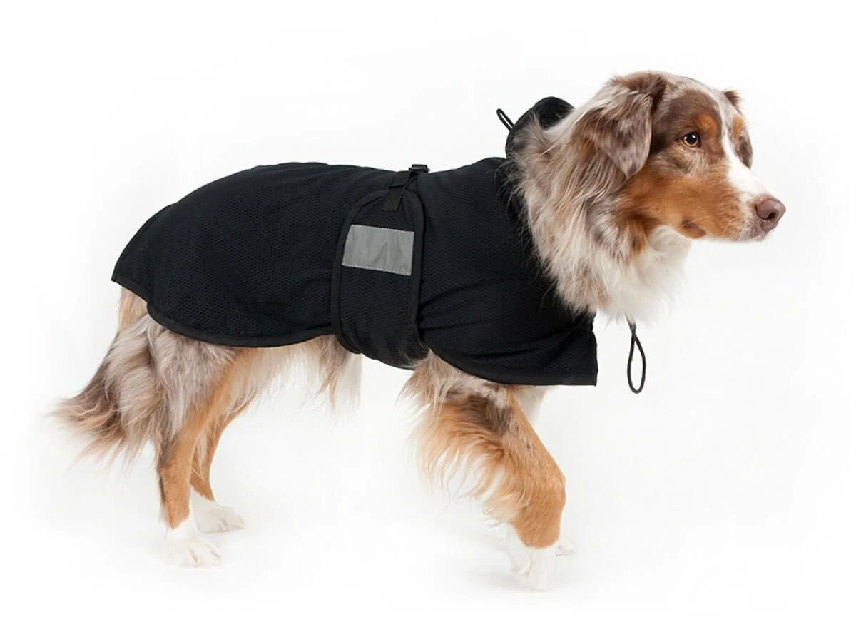 Manteau Filet Back On Track Pour Chien Taille 59 Cm