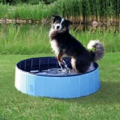 Trixie Piscine Pour Chiens ø 70 × 12 Cm