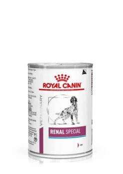 Royal Canin Vet Chien Renal Special 12 X 410 G