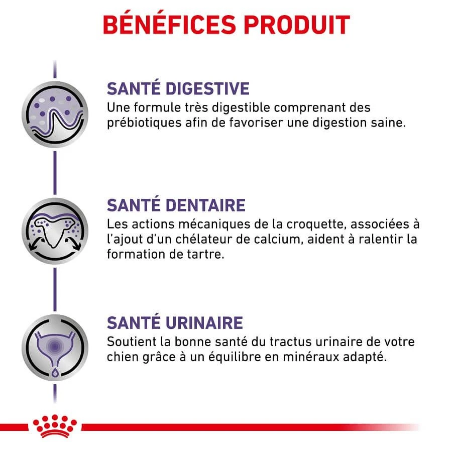 Royal Canin Veterinary Small Dog Adult 2 Kg – Image 4