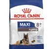 Royal Canin Maxi Senior + De 8 Ans 15 Kg