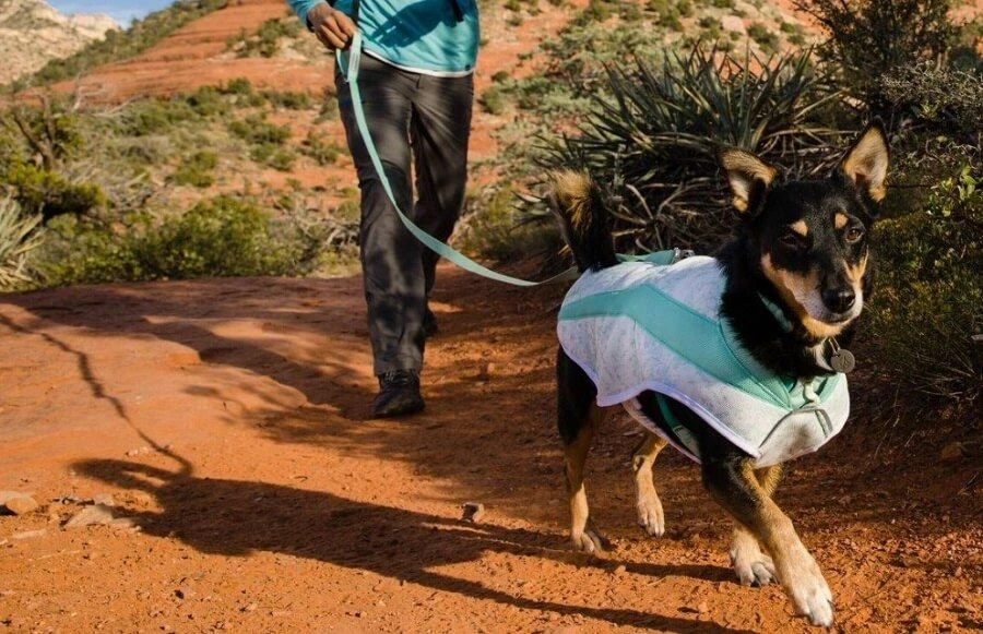 Ruffwear Veste Swamp Cooler Sage Green S – Image 2