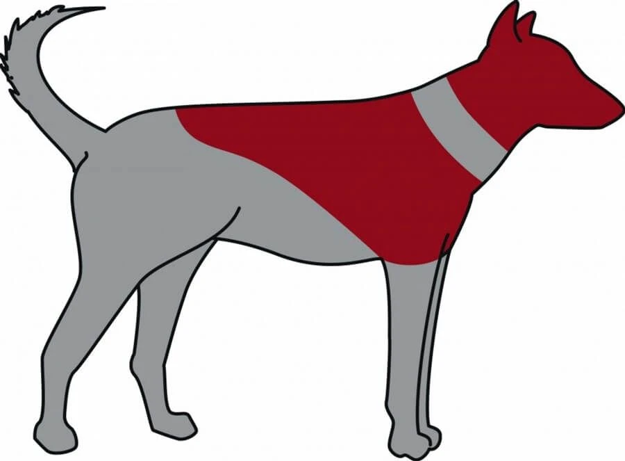 Trixie Carcan Gonflable Pour Chien XS – Image 3