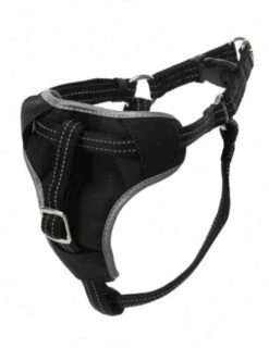 Trixie Harnais Pour Voiture Dog Comfort S-M