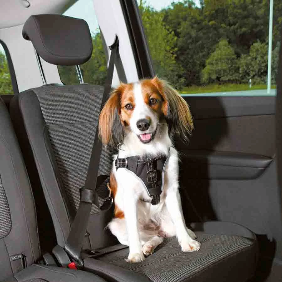 Trixie Harnais Pour Voiture Dog Comfort S-M – Image 3