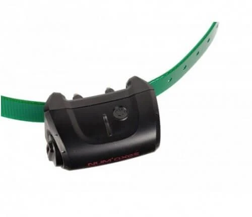 Collier Seul Canicom 5 Avec Sangle Vert Foncé – Image 2