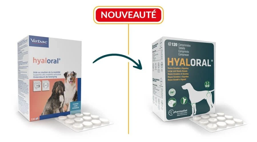 Virbac HYALORAL Chien Plus De 5 Kg 120 Cp – Image 2
